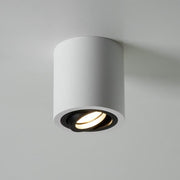 Brumberg Leuchten - Downlight/Strahler/Flutlicht Anbaumodul rund 45106550 strukturweiß