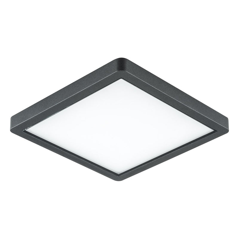 EVN Lichttechnik - Decken-/Wandleuchte LED-Anbauleuchte DAQG54151502 3000K IP54 anth