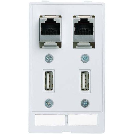Murrelektronik - Einsatz/Abdeckung für Kommunikationstechnik Frontplattenschnittstelle 4000-68000-0970000 2 x RJ45 + 2 x USB B