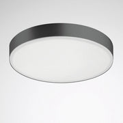 Trilux - Downlight/Strahler/Flutlicht LED-Downlight Onplana D11 #6983651 DALI, 4000K, anthr.