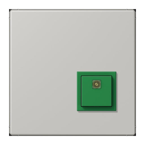Jung - Behindertenelement für Installationsschalterprogramme Notrufsystem Abstelltaster NRS LC 0834 AT 205 gris clair 31