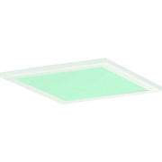 Ridi-Leuchten - Lichttechnisches Zubehör/Ersatzteile für Leuchten Dekorglasscheibe DQ150-SM-G-D-W