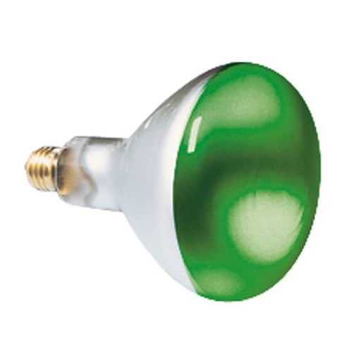 Scharnberger+Hasenbein - Allgebrauchsglühlampe mit Reflektor Reflektorlampe 80x110mm 41628 R80 E27 230V 60W gn