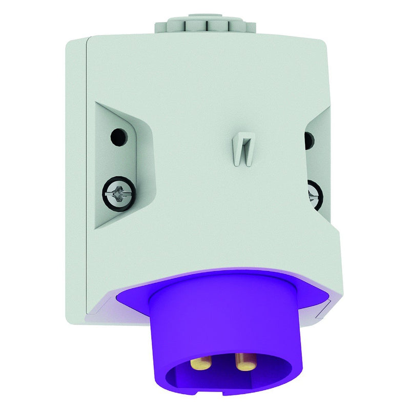 Bals Elektrotech - CEE-Gerätestecker (IEC 60309) Kleinspann.-Wandstecker 460 16A 2p 24V