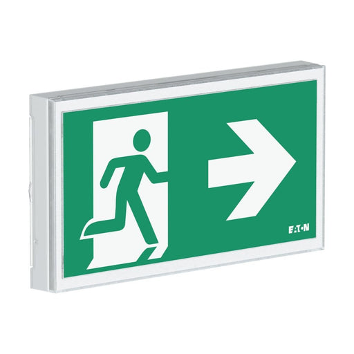 Ceag Notlichtsysteme - Sicherheitsleuchte LED-Rettungszeichenleuchte FT3EW4ICGSIP ZB, Piktos, Wand