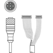 Leuze - Konfektioniertes Sensor-Aktor-Kabel Verbindungsleitung K-DS M12A-M#50115049