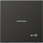 Jung - Abdeckung/Bedienelement für Installationsschalterprogramme Wippe Symbol TÜR anth AL 2990 KO5 T AN für Taster
