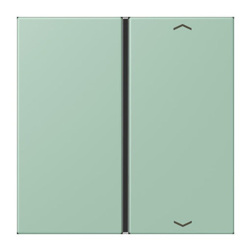 Jung - Abdeckung/Bedienelement für Installationsschalterprogramme Taste 1fach m. Pfeilsymb. LC 401 TSAP 217 vert anglais clair