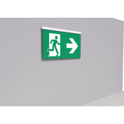 RP-Technik - Sicherheitsleuchte LED-Rettungszeichenleuchte AGR408WL EB 8h, Wireless
