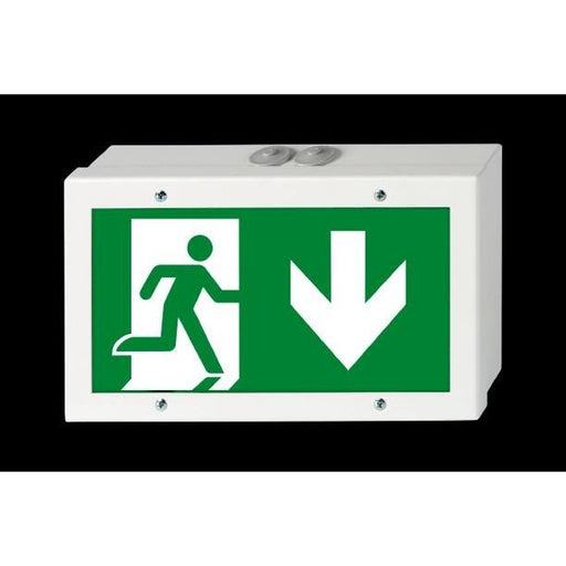 H1 - Sicherheitsleuchte Rettungszeichenleuchte Bouncer L CBS-T