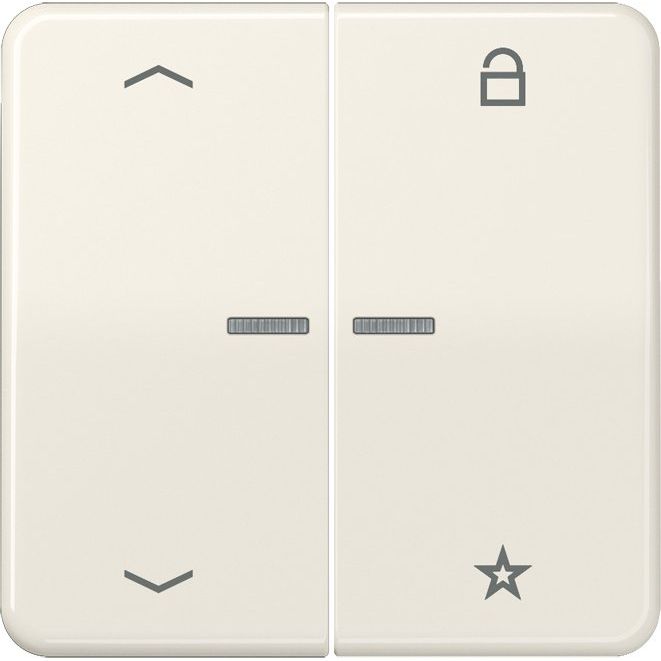 Jung - Bedienelement intelligent eNet Funk-Steuertaste FM CD 1701 P 2fach, Sym. Pfeil,ws