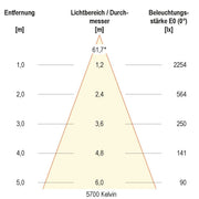 EVN Lichttechnik - Downlight/Strahler/Flutlicht LED-Anbauleuchte ALG54250125