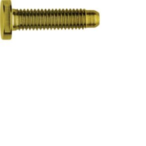 Elcom - Maschinenschraube/Bolzen Schraube Spezial ZY M5x25 PVD mes M5x25 PVD mes