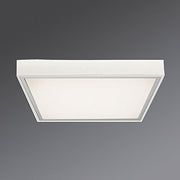 Regiolux - Decken-/Wandleuchte LED-Anbauleuchte protect #62000014110 4000K