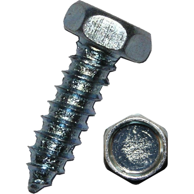Dresselhaus - Blechschraube Sechskant-Blechschrauben 6030/001/51 4,8x19 C, zn − 100 Stück