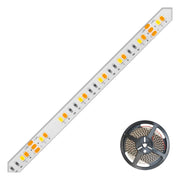 EVN Lichttechnik - Lichtschlauch/-band LED-Stripe SB672460280125 kürzbar IP67
