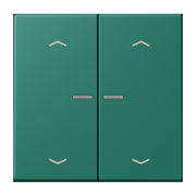 Jung - Abdeckung/Bedienelement für Installationsschalterprogramme Wippe mit Lichtleiter LC 102 KO5P 216 vert anglais