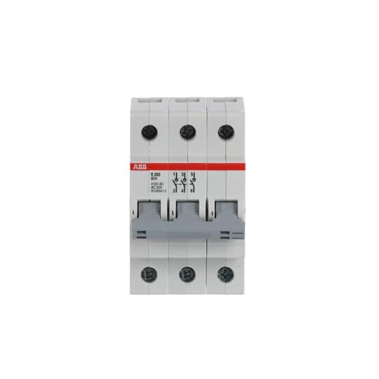 ABB Stotz S&J - Schalter für Reiheneinbau E203/80G Trennschalter E203/80G
