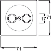 Busch-Jaeger - Einsatz/Abdeckung für Kommunikationstechnik Zentralscheibe alu/si 1743-783 f.Antennendose 2Loch
