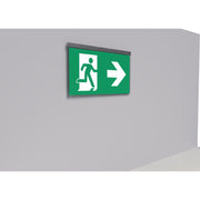 RP-Technik - Sicherheitsleuchte LED-Rettungszeichenleuchte AGR401WL-E EB1h Wirel. eds-opt
