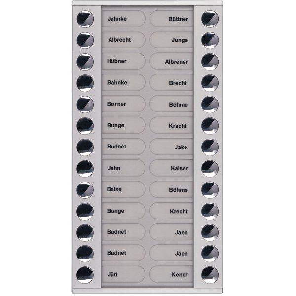 TCS Tür Control - Montageelement für Türstation Audioaußenstation 2-reihig PET26-EN/04 Erw.26 Tasten silber