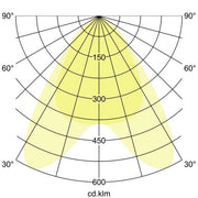 Brumberg Leuchten - Downlight/Strahler/Flutlicht LED-Schienenstrahler 44011184DA 4000K, DALI
