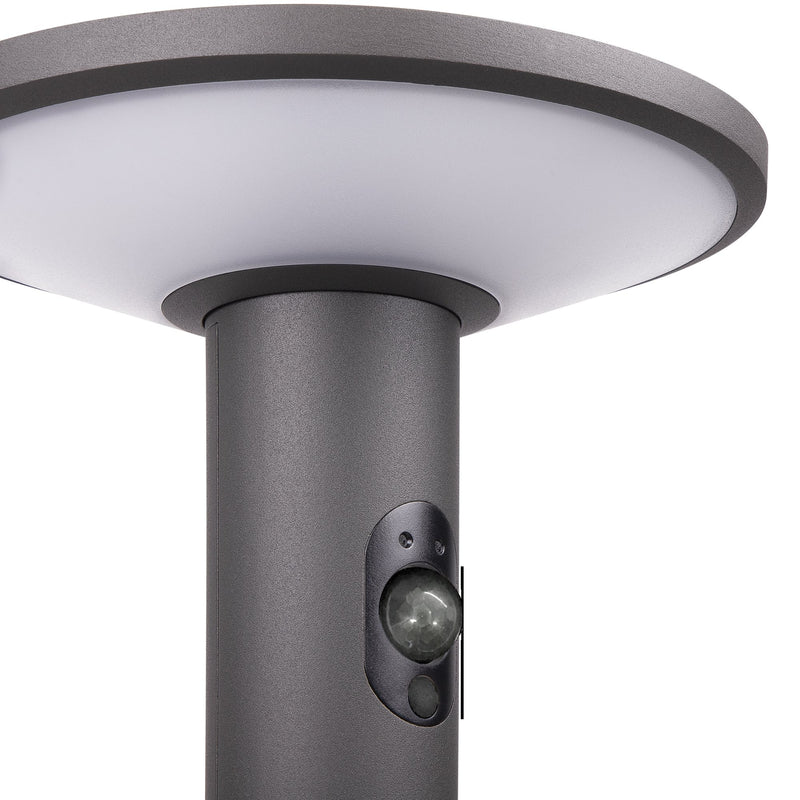 Lichtline - Wegeleuchte LED-Solar-Wegeleuchte PRDX27794 60cm