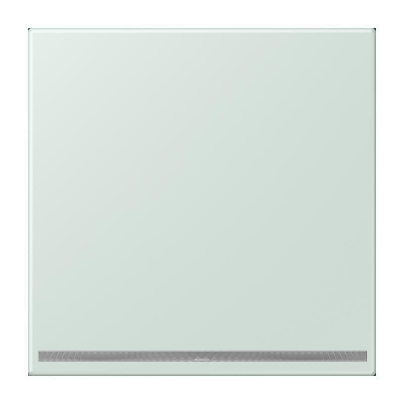Jung - Orientierungsleuchte LED-Orientierungslicht LC 1539-OO LNW 215