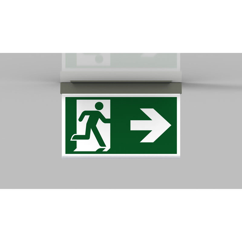 RP-Technik - Sicherheitsleuchte LED-Rettungszeichenleuchte AXC401SC-AZ EB 1h, SC, anthr