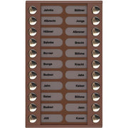 TCS Tür Control - Montageelement für Türstation Audioaußenstation 2-reihig PET22-EB/04 Erw.22 Tasten bronze