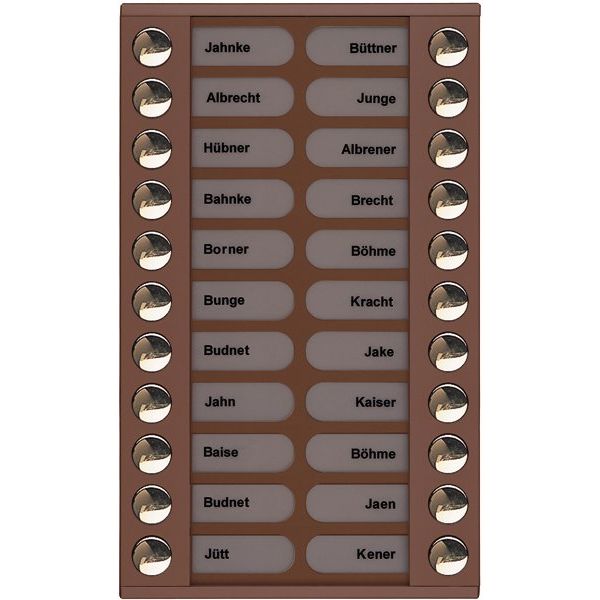 TCS Tür Control - Montageelement für Türstation Audioaußenstation 2-reihig PET22-EB/04 Erw.22 Tasten bronze