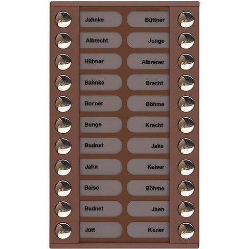 TCS Tür Control - Montageelement für Türstation Audioaußenstation 2-reihig PET22-EB/04 Erw.22 Tasten bronze