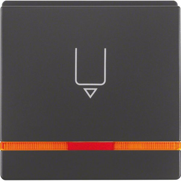 Berker - Taster Hotelcard-Schaltaufsatz 16406086 anth/sa, or Linse