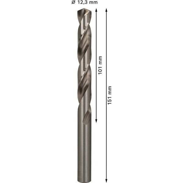 Bosch - Bohrer PRO Metal HSS-G 2608585540 Spiralbohrer 12,3 x