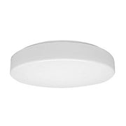 Waldmann Light - Decken-/Wandleuchte LED-Anbauleuchte 00813349 4000K − 1 Stück