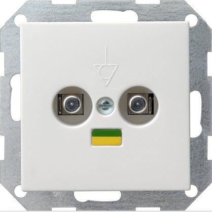 Gira - Potentialausgleichsdose Potentialausgl.dose rws 040527 System55