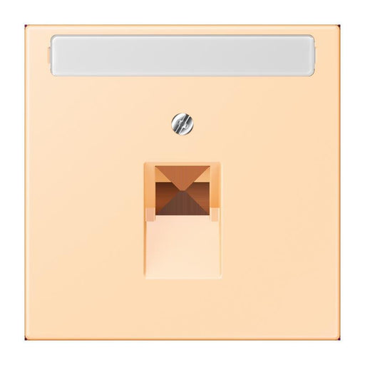 Jung - Einsatz/Abdeckung für Kommunikationstechnik Abdeckung für IAE/UAE LC 969-1 NAUA 223 ocre (32060)