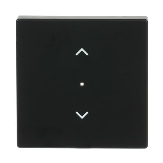 Busch-Jaeger - Bussystem-Tastwippe Wippe sw mt 6232-10-885 future linear