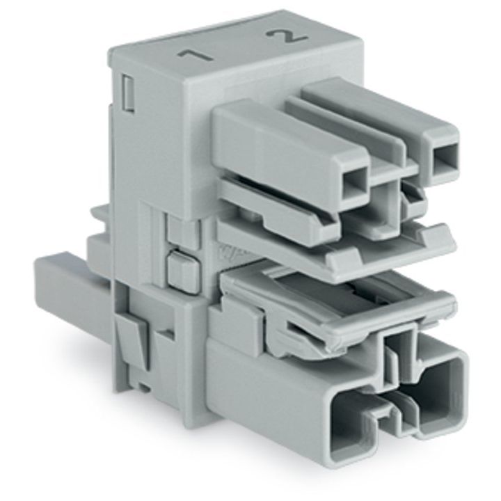 WAGO - Kompaktverteiler für steckbare Gebäudeinstallation h-Verteiler 2-polig 770-1608 Kod. B,grau − 50 Stück