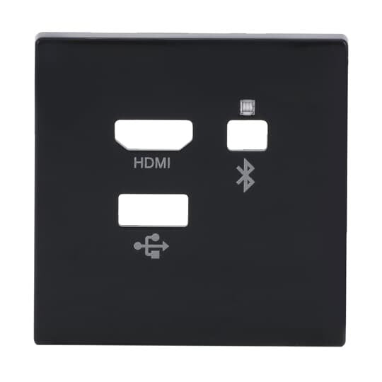 Busch-Jaeger - Einsatz/Abdeckung für Kommunikationstechnik Zentralscheibe 8256-81 Media Connector