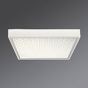 Regiolux - Decken-/Wandleuchte LED-Anbauleuchte protect #62000014153 4000K