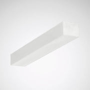 Trilux - Lichttechnisches Zubehör/Ersatzteile für Leuchten Ersatzwanne Wanne Montigo P 124 für Montigo P 124