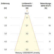 EVN Lichttechnik - Decken-/Wandleuchte LED-Wandleuchte IP65 C65152502HR