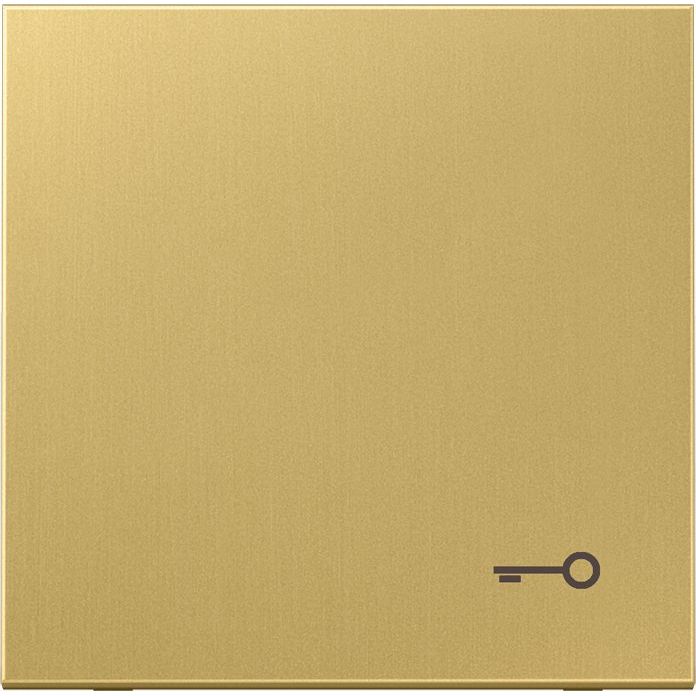 Jung - Abdeckung/Bedienelement für Installationsschalterprogramme Wippe Mess/classic ME 2990 T C Symbol Tür/f. Taster