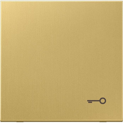 Jung - Abdeckung/Bedienelement für Installationsschalterprogramme Wippe Mess/classic ME 2990 T C Symbol Tür/f. Taster