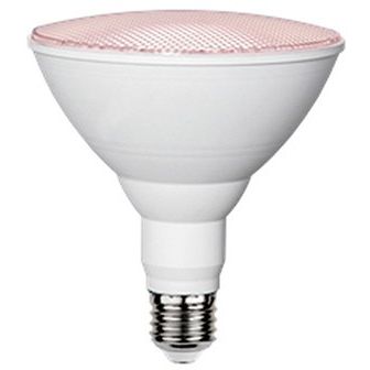 Scharnberger+Hasenbein - LED-Lampe/Multi-LED LED-Reflektorlampe PAR38 35081 E27, Wachstum