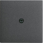 Gira - Einsatz/Abdeckung für Kommunikationstechnik Zentralpl.Schnurabl. anth 027428 System55