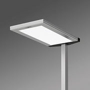 Regiolux - Stehleuchte LED-Stehleuchte visula- #43711308175 4000K DALI