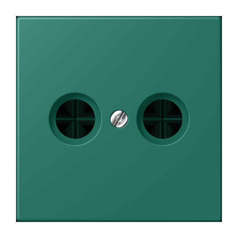 Jung - Einsatz/Abdeckung für Kommunikationstechnik Abdeckung für Antennendose LC 990 TV 216 vert anglais (32040)