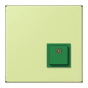 Jung - Behindertenelement für Installationsschalterprogramme Notrufsystem Abstelltaster NRS LC 0834 AT 222 vert jaune clair